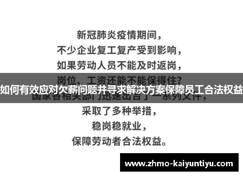 如何有效应对欠薪问题并寻求解决方案保障员工合法权益