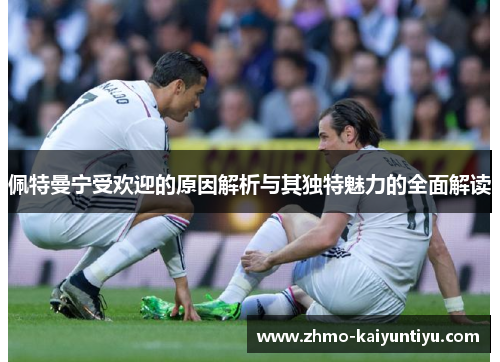 佩特曼宁受欢迎的原因解析与其独特魅力的全面解读